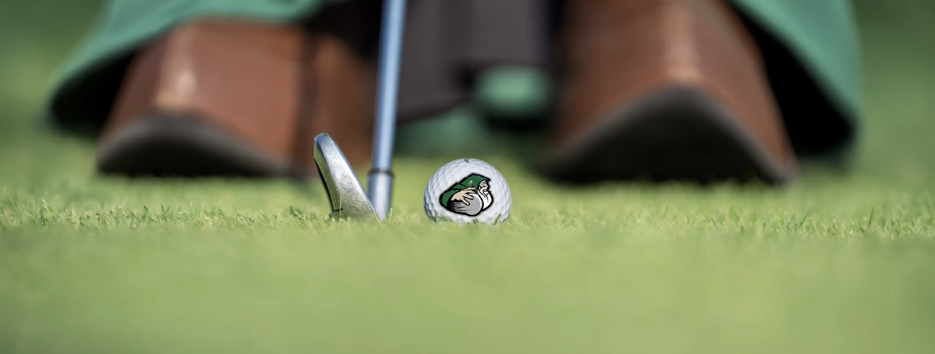 Golf ball in grass