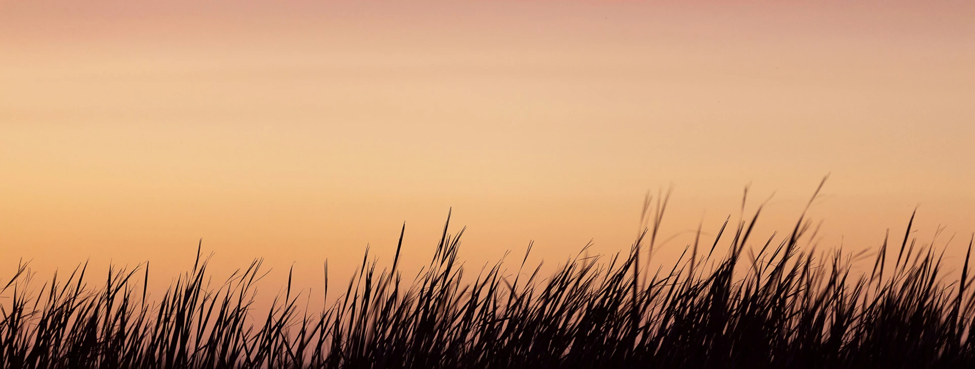 Orange sky