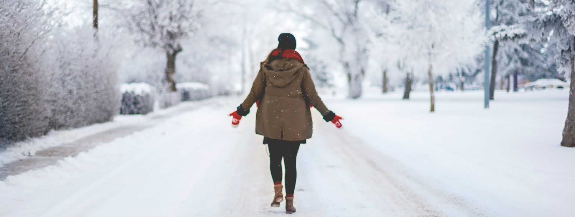 BSC Winter 2026 CE Catalog