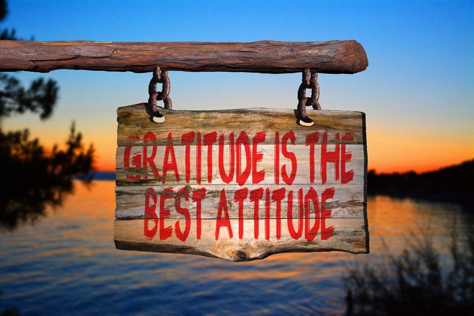 Gratitude Attitude - image
