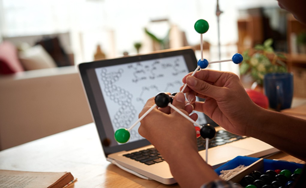 Gateway to Science Middle School Summer Camps at BSC - image