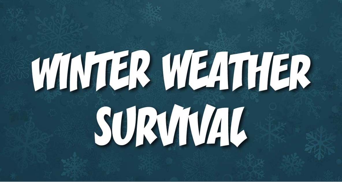 Winter Weather Survival - image