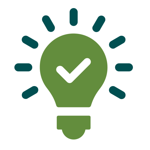 Light Bulb Icon