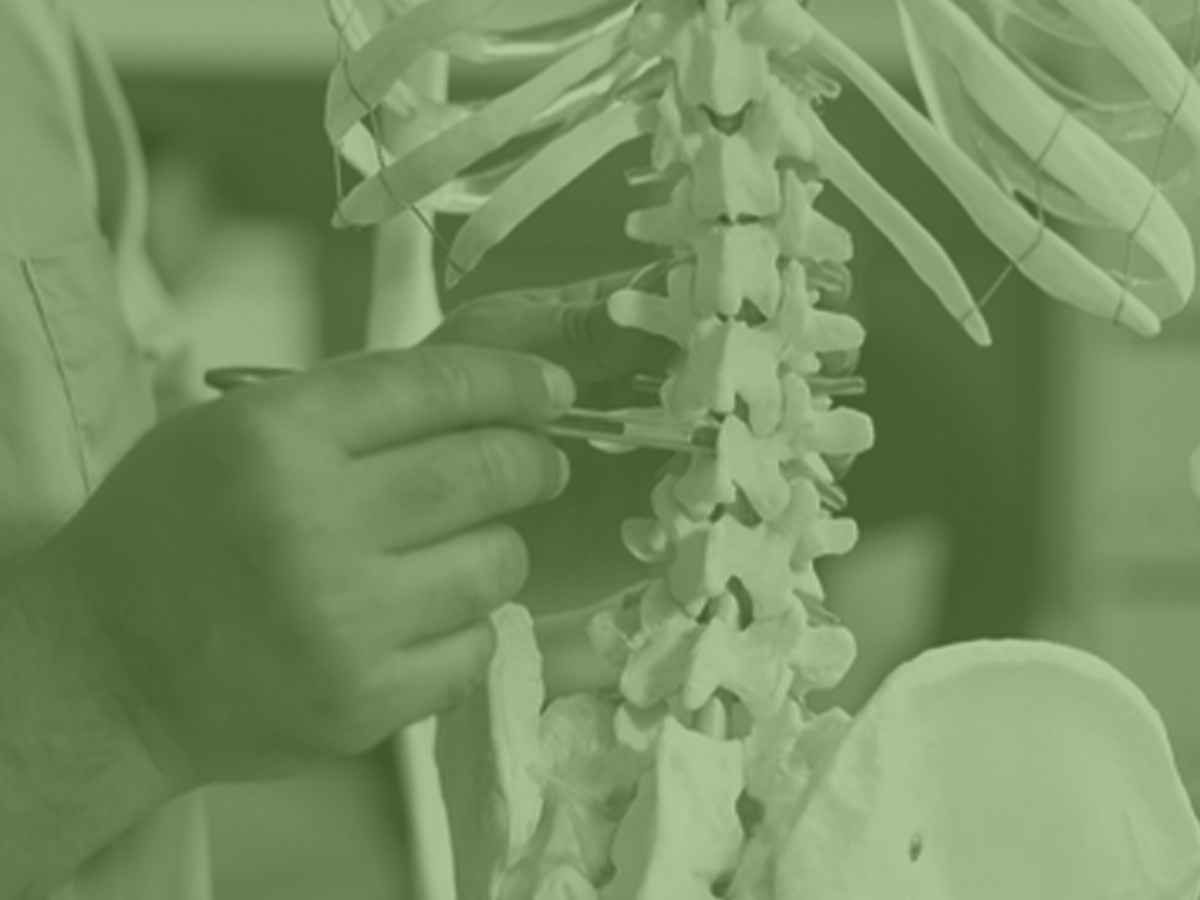 close up of spine and doctor examining