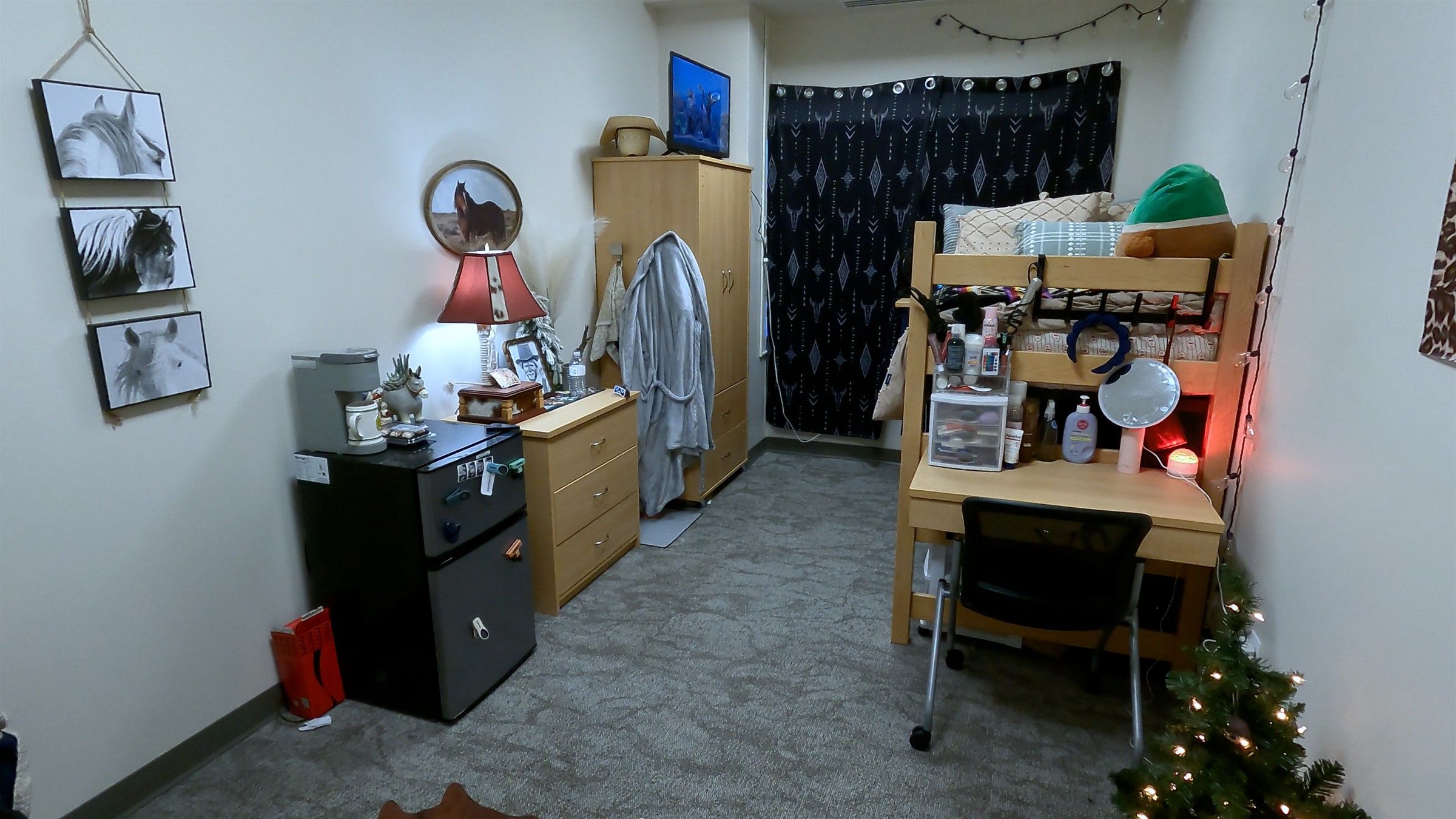 Interior of Health Science Hall dorm room with bed bunked and string lights