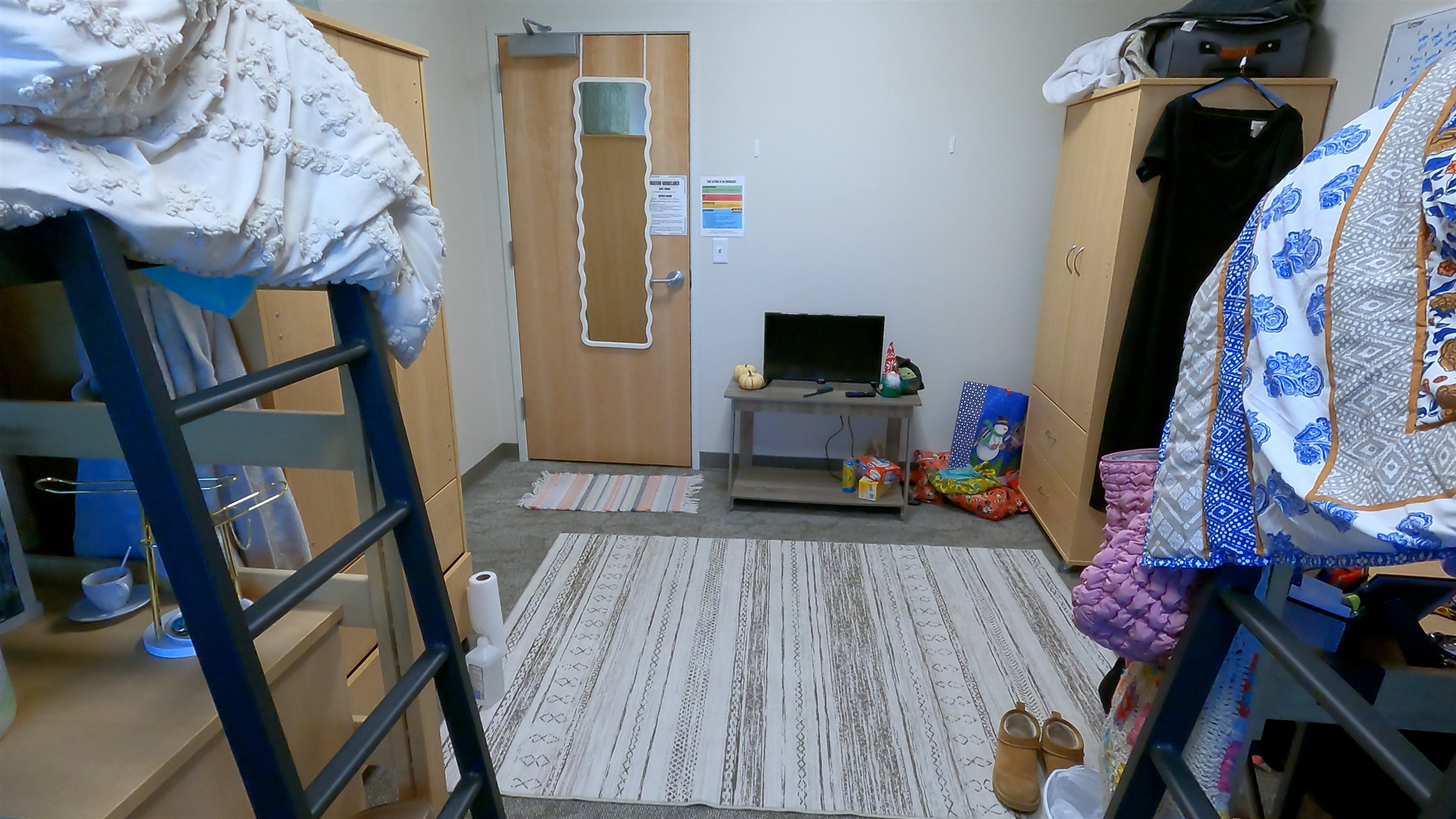 Interior of Health Science Hall dorm room with large rug on floor