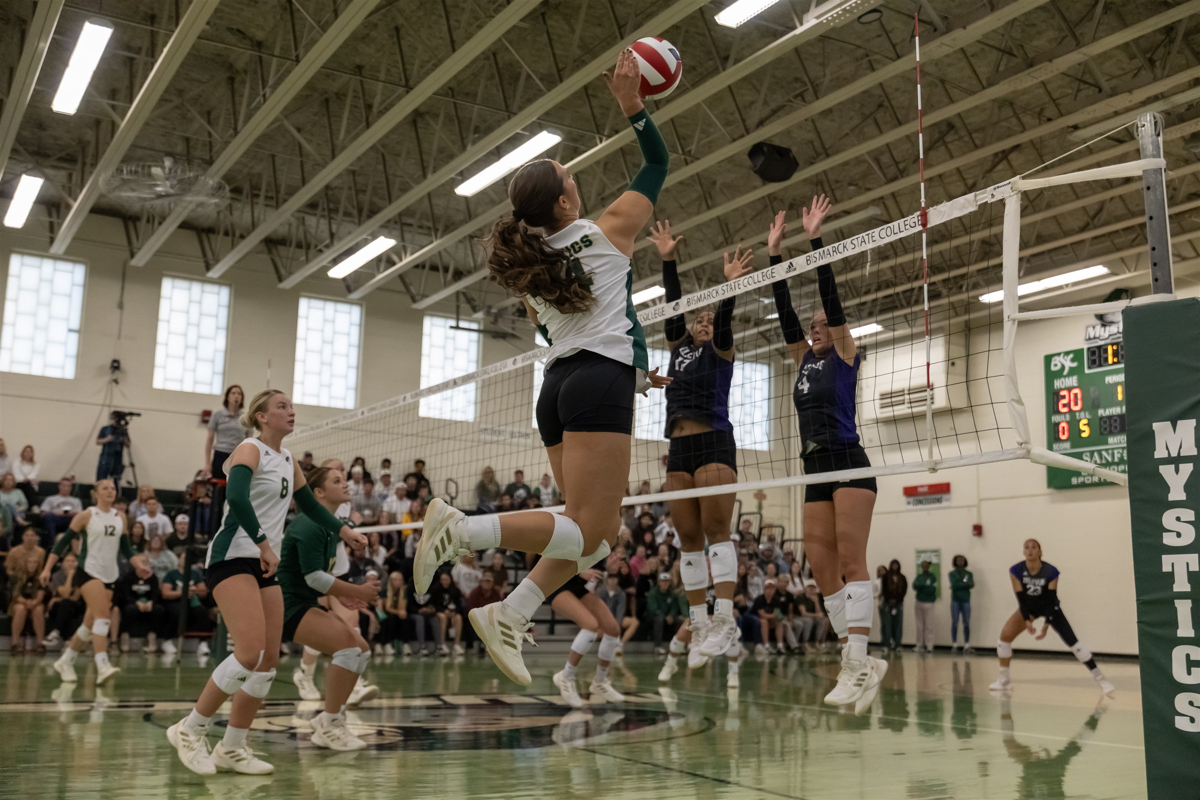 Girl playing volleyball