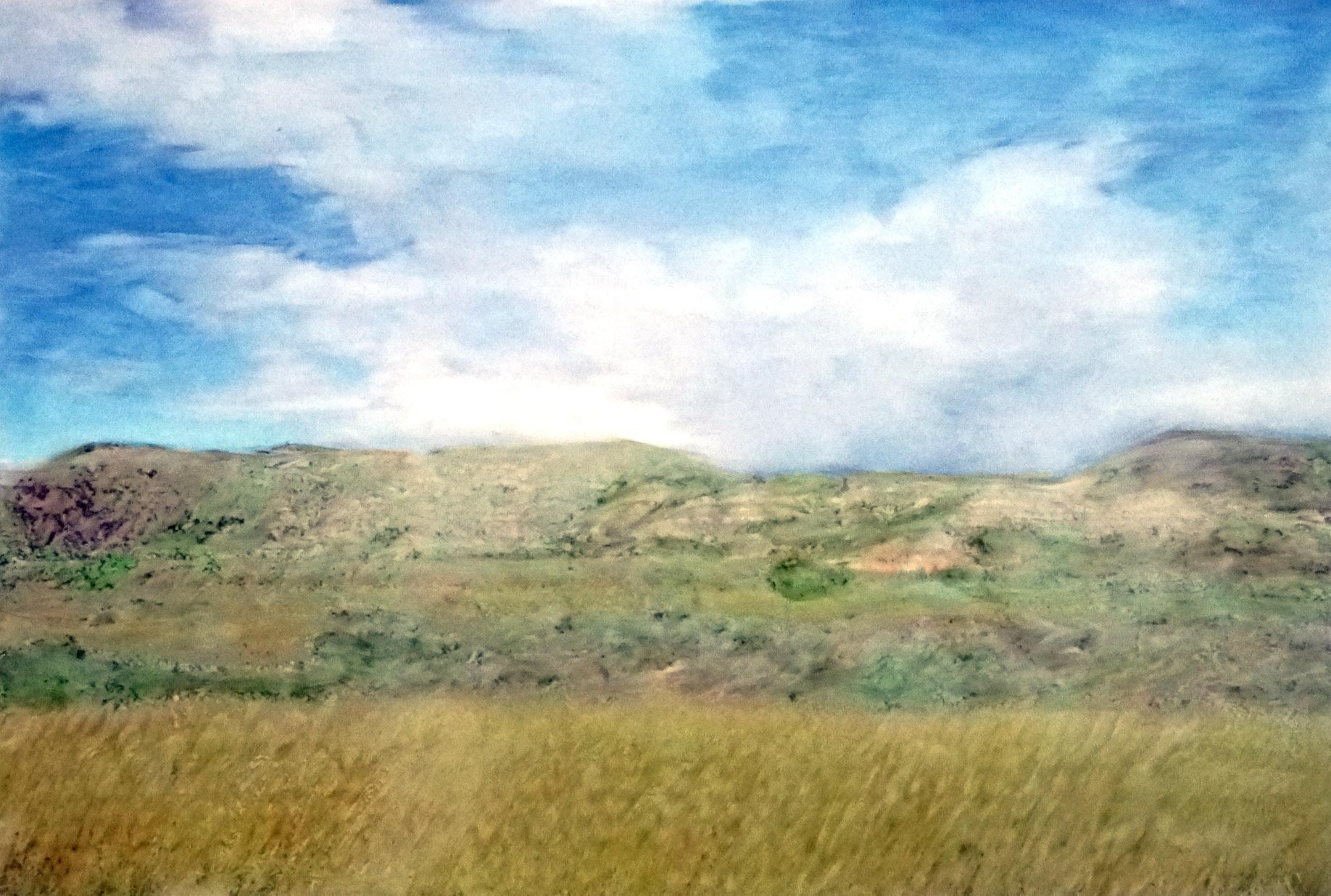 Painting of a blue bird
