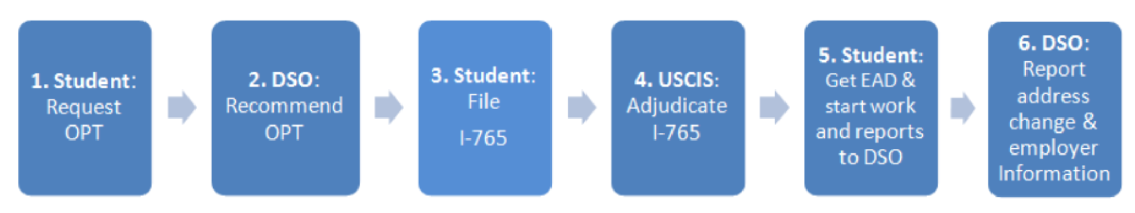 opt timeline