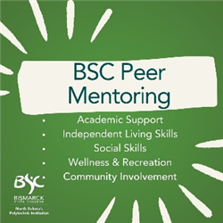BSC Peer Mentoring