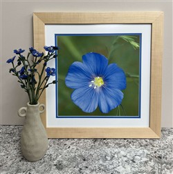 Anita Helman & Jill Edinger